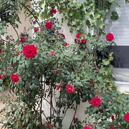 Chambre Cosy Arles Zewnętrze zdjęcie