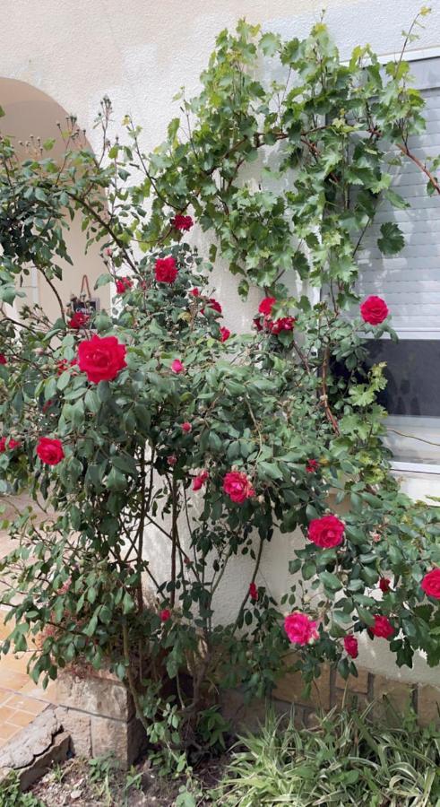 Chambre Cosy Arles Zewnętrze zdjęcie